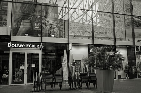 black-and-white, restaurant, man, people thumbnail