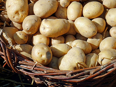 bunch of potatoes in brown wicker basket thumbnail