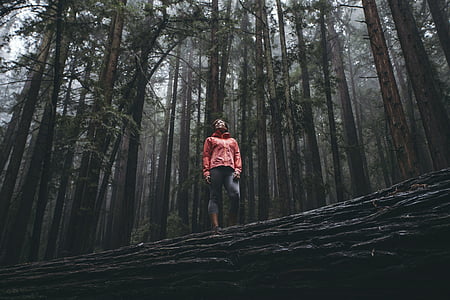 woman standing in forest while looking upwards thumbnail