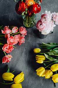 Colorful flowers on grey background with copy space thumbnail