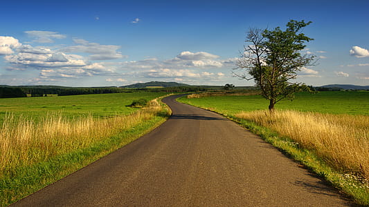 Photo of Road in the Middle of the Grass Field thumbnail