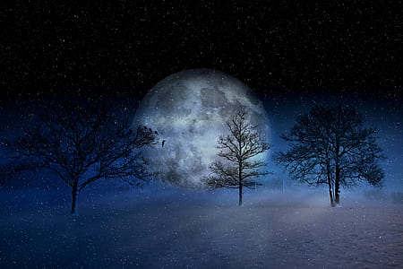 digital artwork of full moon and trees thumbnail
