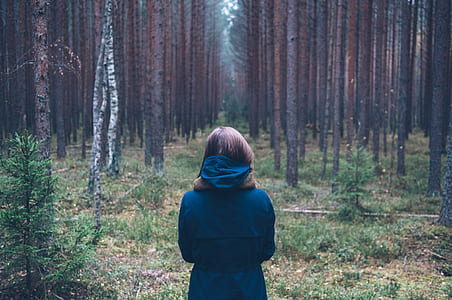 closeup photo of person wearing blue hooded jacket facing towards forest thumbnail