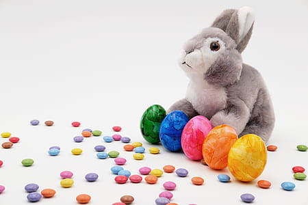 gray rabbit plush toy on white surface thumbnail