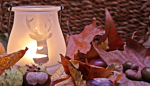 white lamp near brown maple leafs thumbnail