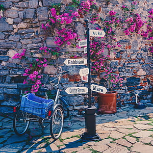 black adult trike parked beside road sign thumbnail