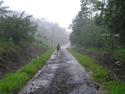 person walking between trees during rain thumbnail