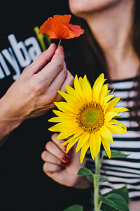 Young couple with sunflower thumbnail