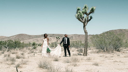 two person standing near tree under clear sky thumbnail