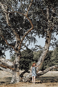 woman standing beside tree thumbnail
