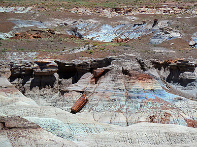 Petrified Forest National Park thumbnail