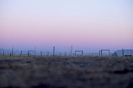 grass field thumbnail