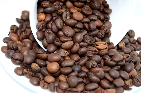 brown coffee bean lot thumbnail