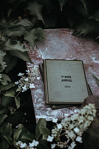shallow focus photography of gray book thumbnail