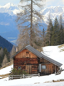 brown house near the tree with snow on the ground thumbnail