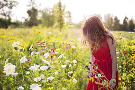 woman in red sleeveless dress standing beside flower field at daytime thumbnail
