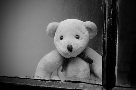 bear plush toy thumbnail