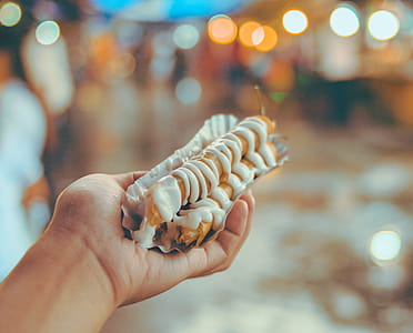 Bokeh Photo of Person Holding Shanghai Roll Wraps With Mayonnaise thumbnail