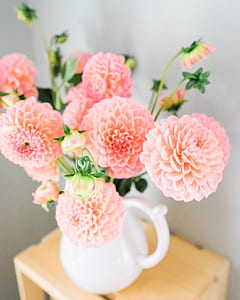 pink flowers thumbnail