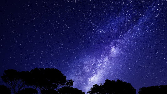 silhouette of trees under blue sky during night thumbnail