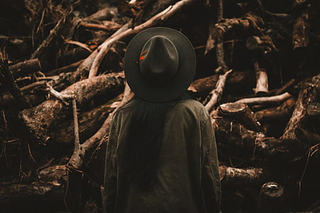 person standing in front of tree logs thumbnail