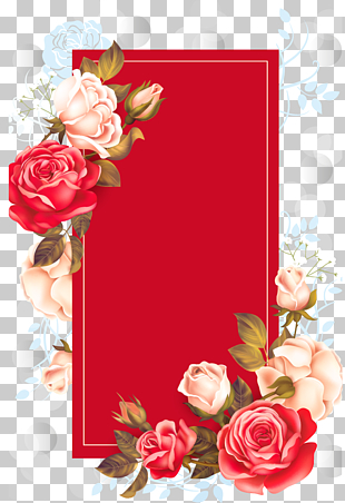 Adobe Illustrator, Red Rose Box, red and white roses illustration PNG clipart