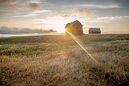 gray shack on grass field thumbnail