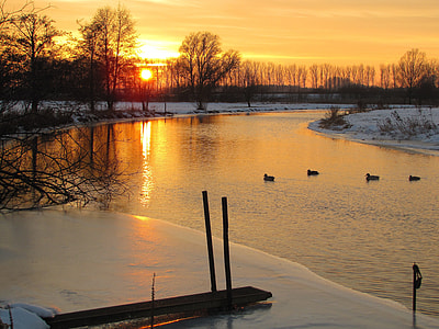 four ducks swimming on bodies of water during sunset thumbnail