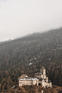 aerial photograph of castle surrounded by pine trees thumbnail