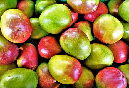 pile of mangoes thumbnail