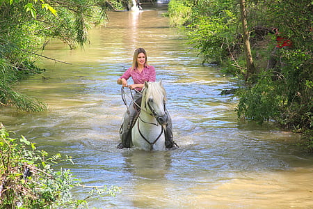 woman riding horse walking on body of water surrounded by trees during day thumbnail