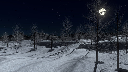 3D animation of withered trees during winter season at nighttime thumbnail