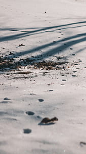 footsteps on icy ground thumbnail