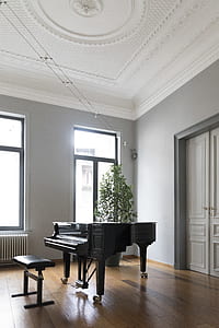black grand piano near window thumbnail