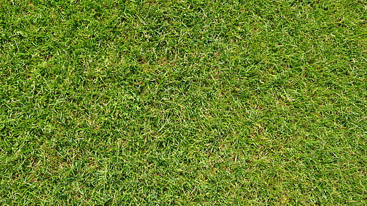 grass field thumbnail