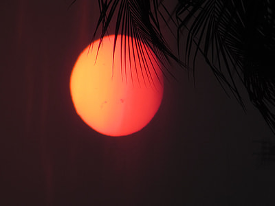 close up photography of orange full moon thumbnail