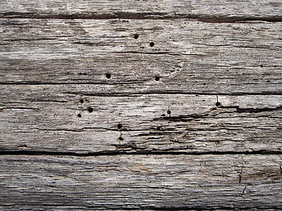 wood, texture, trees, wood planks thumbnail