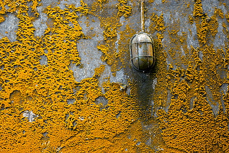 Concrete Pavement With Orange Molds thumbnail