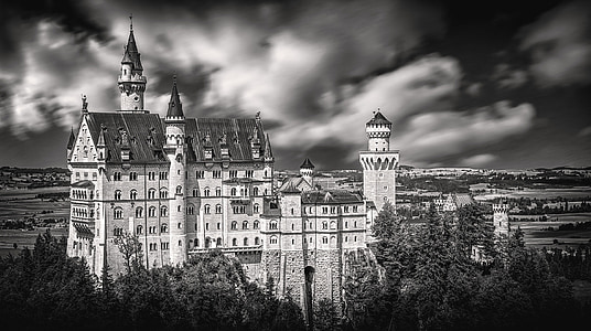 grayscale photography of palace thumbnail