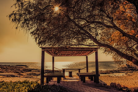 brown pergola with green grass field photo thumbnail