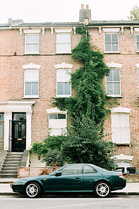 Brown and White Concrete Apartment and Green Ivy Plants thumbnail