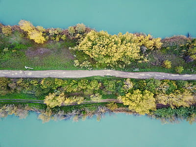 aerial view of green plants with concrete road inbetween thumbnail