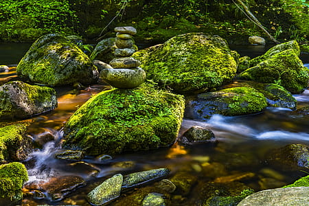 Rocks Covered With Moss thumbnail