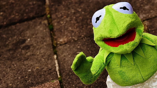 Kermett the Frog thumbnail