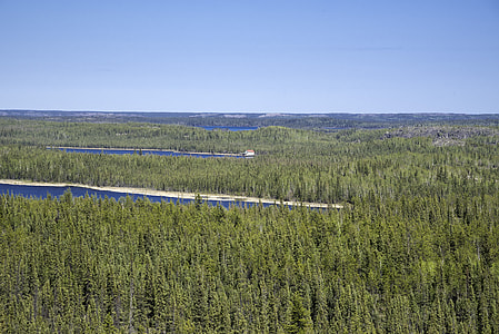 Lakes cutting into the Pine Forest Landscape on the Ingraham Trail thumbnail