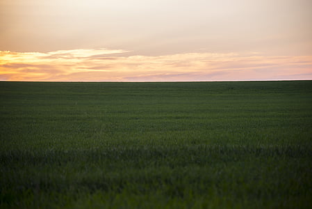 green grass field under stratus clouds thumbnail