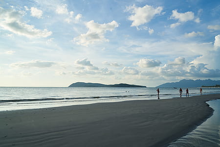 people walking on beach under cloudy sky thumbnail