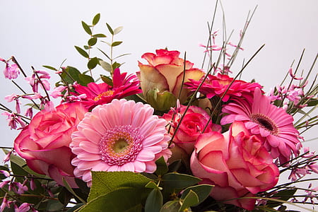 close up photograph of assorted-color flower bouquet thumbnail