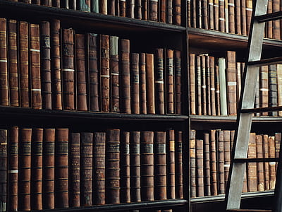 encyclopedias on shelf thumbnail