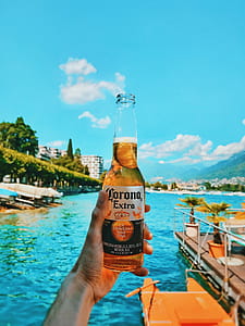 Person Holding Corona Bottle thumbnail